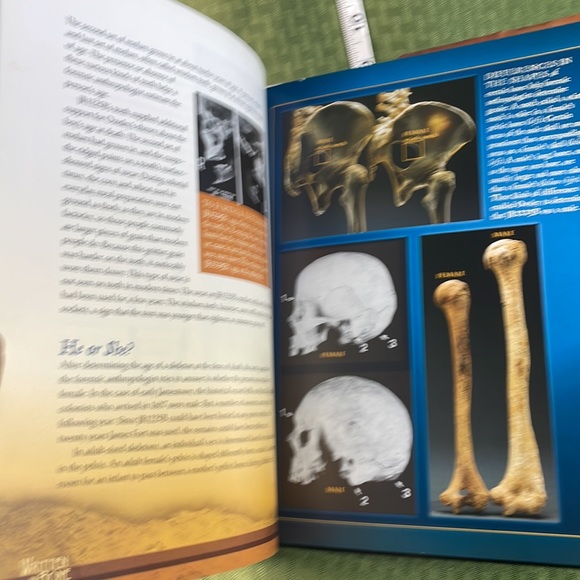 Written in Bone Buried Lives of Jamestown and Colonial Maryland Sally M. Walker - Picture 7 of 10